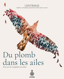 Du plomb dans les ailes