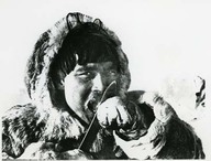 Inuit eating frozen fish. Inuk mangeant du poisson gelé.