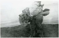 Old Inuit bringing back wood collected on the shore of Artic Ocean. Inuk portant du bois ramassé sur le rivage de l'océan Arctique