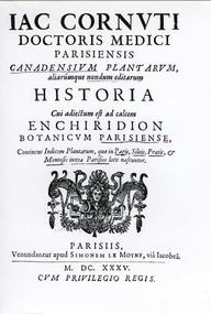 Canadiensium Plantarum Historia