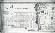 Plan of the property on the St Louis Road