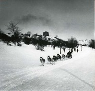 Course de chiens lors du Carnaval d'hiver de 1962