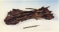 Fagot de bois