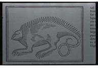 Iguana