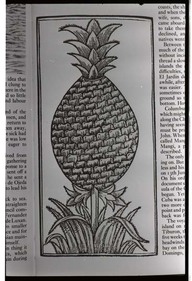 Ananas/ Pineapple