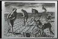 Agriculture