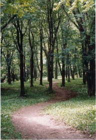 Plaines d'Abraham