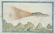 Le "Pacho del ciello c'est-à-dire oyseau du ciel". In Brief Discours, Providence. Planche LV.