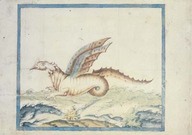 Un dragon. 
In Brief Discours, Providence. Planche XLVII.