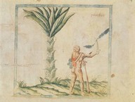 Un palmistre.
In Brief Discours, Providence. Planche XXXIX.