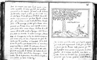 Brief discours des choses plus remarcables que Samuel de Champlain... a recogneues aux Indes occidentales. Bologne