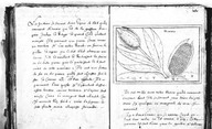 Brief discours des choses plus remarcables que Samuel de Champlain... a recogneues aux Indes occidentales. Bologne