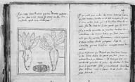 Brief discours des choses plus remarcables que Samuel de Champlain... a recogneues aux Indes occidentales. Bologne