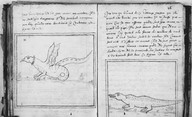 Brief discours des choses plus remarcables que Samuel de Champlain... a recogneues aux Indes occidentales. Bologne