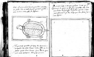 Brief discours des choses plus remarcables que Samuel de Champlain... a recogneues aux Indes occidentales. Bologne
