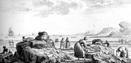 Gravure qui à priori représenterait le séchage de la morue.