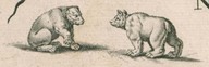 Novi Belgii novoeque Anglioe nec non partis Virginioe tabula [Carte de la Nouvelle-Belgique], Amsterdam, vers 1655
