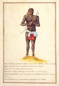 Guerrier Renard