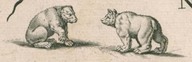 Novi Belgii novoeque Anglioe nec non partis Virginioe tabula [Carte de la Nouvelle-Belgique], Amsterdam, vers 1655
