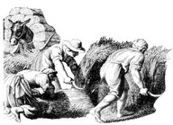 Récolte de blé en France, dessin anonyme
In Vivre, aimer et mourir en Nouvelle-France, André Lachance, Libre expression : 129