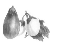 Fruits et légumes
In De Groote, Christine, Fleurs, fruits, légumes : une histoire du jardin de l'antiquité à nos jours, Renaissance du livre, Tournai, 1999