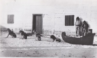Trois hommes et un traîneau à chiens métis à Fort Garry, Manitoba, dans les territoires du Nord-Ouest