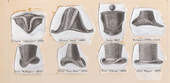 Modifications du chapeau de castor entre 1776 et 1837