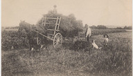 La dernière javelle