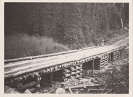 Pont sur le Saint-Maurice menant à un chantier  forestier
