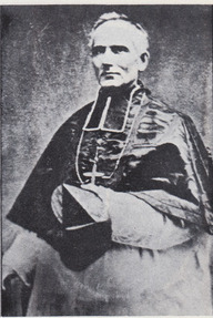 Mgr Louis-François Laflèche