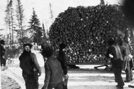 Des bûcherons observent une «sleigh» lourdement chargée