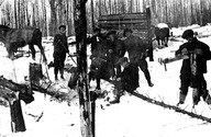 Groupe de bûcherons