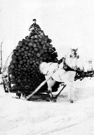 Le charretier Lionel Blais, de Sainte-Émilie-de-l'Énergie, sur un voyage de billots tiré par le cheval Diamond du jobber Beaudoin, crique Scheller