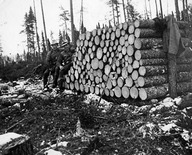 Les bûcherons Roger et Viateur Robillard assis près d'une corde de bois dans la forêt