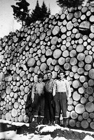 Les bûcherons Maurice Généreux, Donatien Héroux et Marcel Généreux, de Saint-Jean-de-Matha, posent devant une immense corde de bois