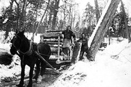 Les frères Thériault sortent de la forêt avec une demi-charge de bois à Saint-Côme