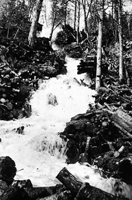 Sur le déversant du lac Morisset, les pitounes ont été projetées de chaque côté du ruisseau.