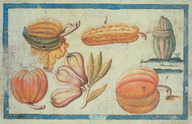 Des courges et des citrouilles de l'Amérique