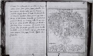 Brief Discours des choses plus remarcables que Samuel Champlain... a regognues aux Indes Occidentales