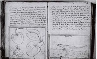 Brief Discours des choses plus remarcables que Samuel Champlain... a regognues aux Indes Occidentales