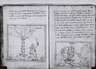 Brief Discours des choses plus remarcables que Samuel Champlain... a regognues aux Indes Occidentales