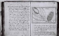 Brief Discours des choses plus remarcables que Samuel Champlain... a regognues aux Indes Occidentales