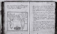 Brief Discours des choses plus remarcables que Samuel Champlain... a regognues aux Indes Occidentales