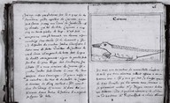 Brief Discours des choses plus remarcables que Samuel Champlain... a regognues aux Indes Occidentales