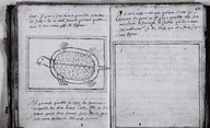 Brief Discours des choses plus remarcables que Samuel Champlain... a regognues aux Indes Occidentales