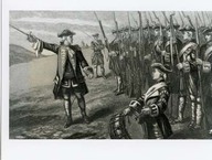 Représentation de Wolfe