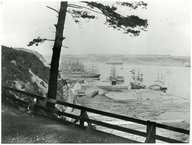 Timber cove