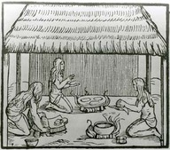 Cassava