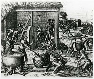 Canne à sucre
Illustration tirée de L’Amérique de T. de Bry, p. 205.