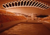 Piscine olympique